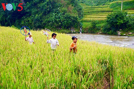 Terraced rice fields in Mu Cang Chai - ảnh 3